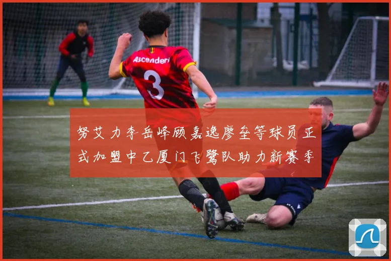 努艾力李岳峰顾嘉逸廖垒等球员正式加盟中乙厦门飞鹭队助力新赛季