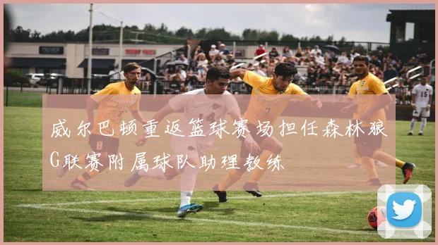 威尔巴顿重返篮球赛场担任森林狼G联赛附属球队助理教练