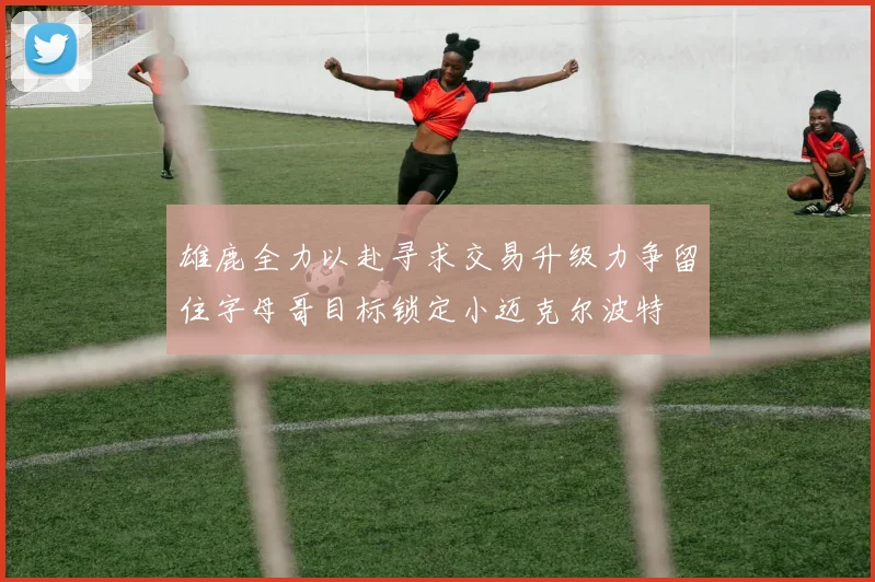 雄鹿全力以赴寻求交易升级力争留住字母哥目标锁定小迈克尔波特