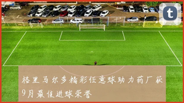 格里马尔多精彩任意球助力药厂获9月最佳进球荣誉