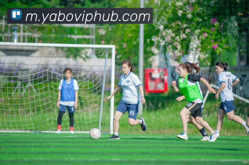 多媒体互动体验