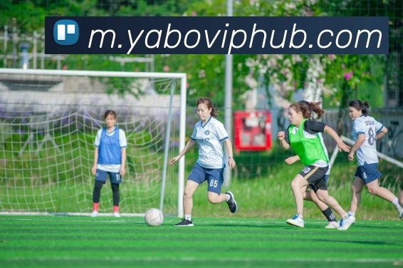 亚博体育APP 高清赛事图